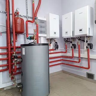 IMG_20250108_123325_428