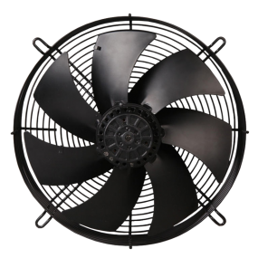 fan (2)